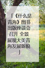 《什么是青海》图书出版座谈会召开 全景展现大美青海发展新貌