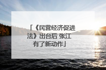 《民营经济促进法》出台后 张江有了新动作