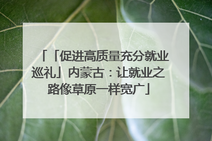 「促进高质量充分就业巡礼」内蒙古：让就业之路像草原一样宽广