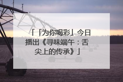 「为你喝彩」今日播出《寻味端午：舌尖上的传承》