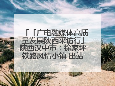 「广电融媒体高质量发展陕西采访行」陕西汉中市：徐家坪铁路风情小镇 出站就是景区