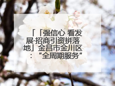 「强信心 看发展·招商引资拼落地」金昌市金川区：“全周期服务”助推项目落地