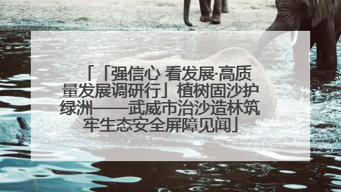 「强信心 看发展·高质量发展调研行」植树固沙护绿洲——武威市治沙造林筑牢生态安全屏障见闻