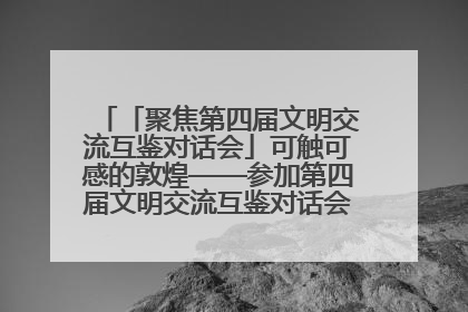 「聚焦第四届文明交流互鉴对话会」可触可感的敦煌——参加第四届文明交流互鉴对话会的外宾参观上元市集