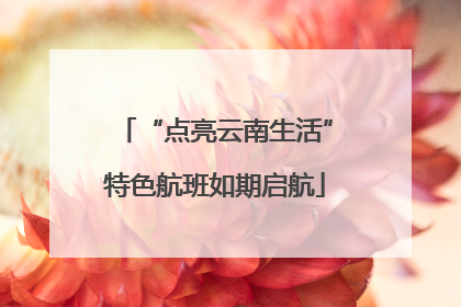 “点亮云南生活”特色航班如期启航