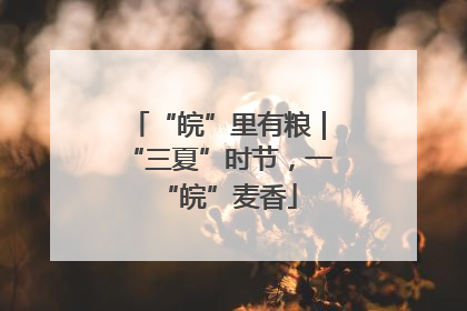 “皖”里有粮｜“三夏”时节，一“皖”麦香
