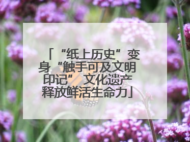 “纸上历史”变身“触手可及文明印记” 文化遗产释放鲜活生命力