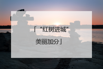 “红树进城” 美丽加分