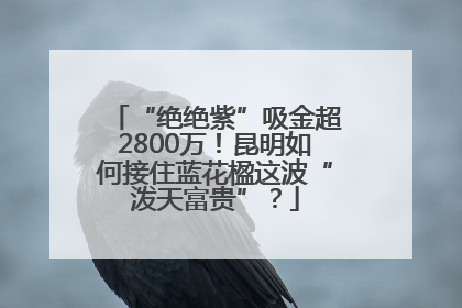 “绝绝紫”吸金超2800万！昆明如何接住蓝花楹这波“泼天富贵”？