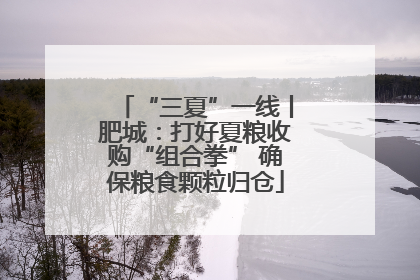 “三夏”一线丨肥城：打好夏粮收购“组合拳” 确保粮食颗粒归仓