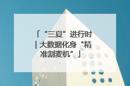 “三夏”进行时｜大数据化身“精准割麦机”