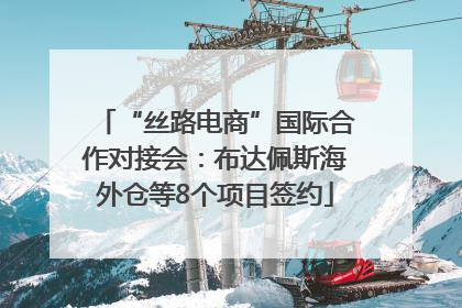 “丝路电商”国际合作对接会：布达佩斯海外仓等8个项目签约
