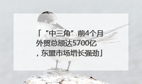“中三角”前4个月外贸总额达5700亿，东盟市场增长强劲