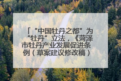 “中国牡丹之都”为“牡丹”立法，《菏泽市牡丹产业发展促进条例（草案建议修改稿）》公开征求意见