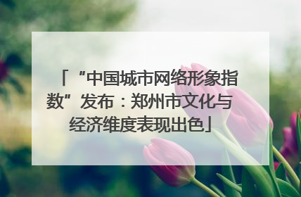 “中国城市网络形象指数”发布：郑州市文化与经济维度表现出色