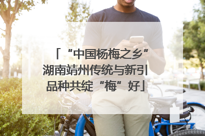 “中国杨梅之乡”湖南靖州传统与新引品种共绽“梅”好