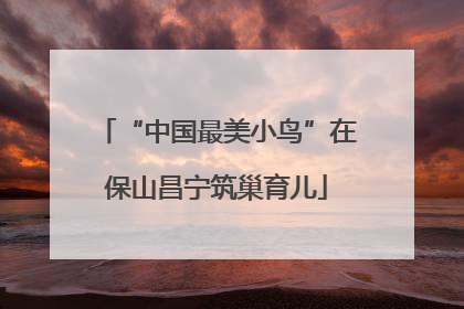 “中国最美小鸟”在保山昌宁筑巢育儿