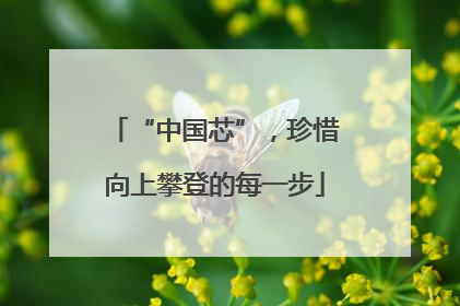 “中国芯”，珍惜向上攀登的每一步