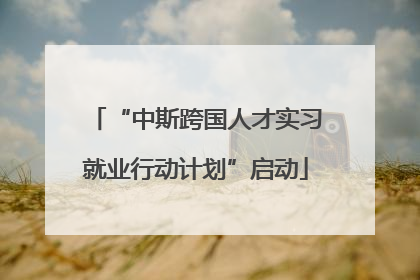 “中斯跨国人才实习就业行动计划”启动