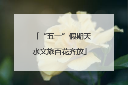“五一”假期天水文旅百花齐放