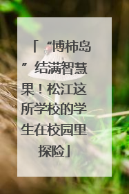 “博柿岛”结满智慧果！松江这所学校的学生在校园里探险