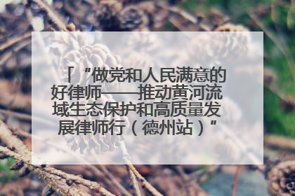 “做党和人民满意的好律师——推动黄河流域生态保护和高质量发展律师行（德州站）”活动成功举办