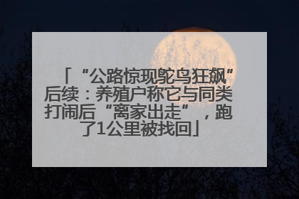 “公路惊现鸵鸟狂飙”后续：养殖户称它与同类打闹后“离家出走”，跑了1公里被找回