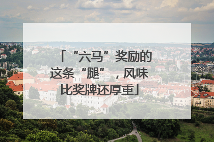 “六马”奖励的这条“腿”，风味比奖牌还厚重