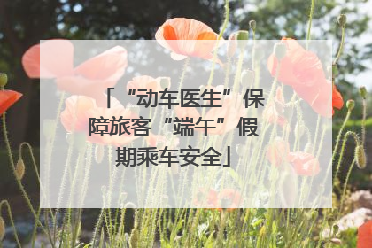 “动车医生”保障旅客“端午”假期乘车安全