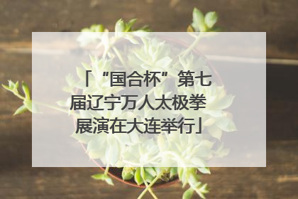 “国合杯”第七届辽宁万人太极拳展演在大连举行