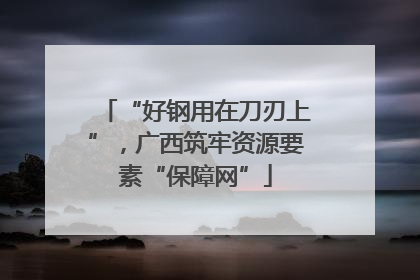 “好钢用在刀刃上”，广西筑牢资源要素“保障网”