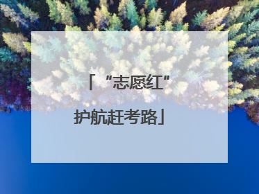 “志愿红”护航赶考路