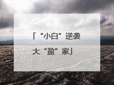 “小白”逆袭大“盈”家