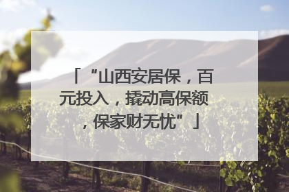 “山西安居保，百元投入，撬动高保额，保家财无忧”