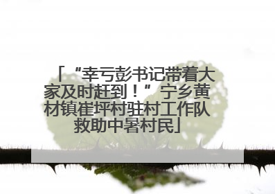 “幸亏彭书记带着大家及时赶到！”宁乡黄材镇崔坪村驻村工作队救助中暑村民