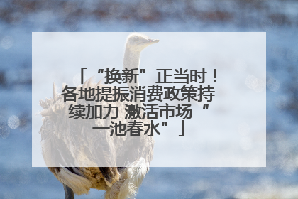 “换新”正当时！各地提振消费政策持续加力 激活市场“一池春水”