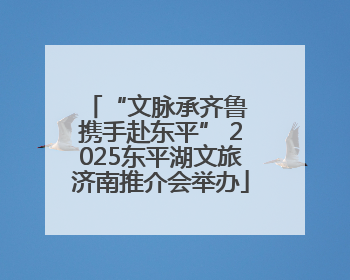 “文脉承齐鲁 携手赴东平” 2025东平湖文旅济南推介会举办