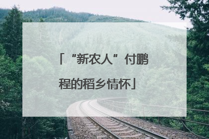 “新农人”付鹏程的稻乡情怀