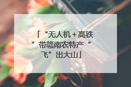 “无人机＋高铁”带赣南农特产“飞”出大山