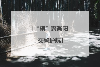 “棋”聚衡阳，交警护航