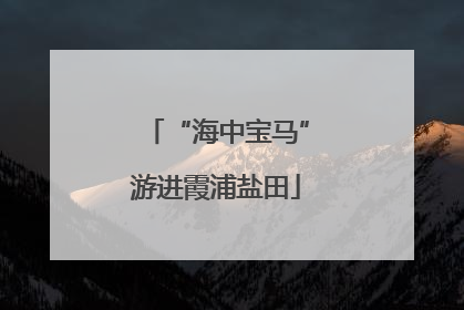 “海中宝马”游进霞浦盐田