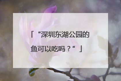 “深圳东湖公园的鱼可以吃吗？”