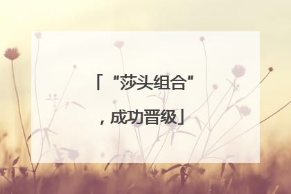 “莎头组合”，成功晋级