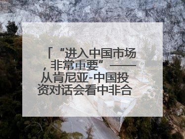 “进入中国市场，非常重要”——从肯尼亚-中国投资对话会看中非合作机遇