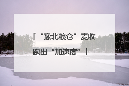 “豫北粮仓”麦收跑出“加速度”