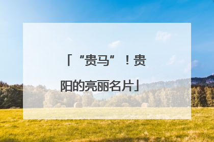 “贵马”！贵阳的亮丽名片