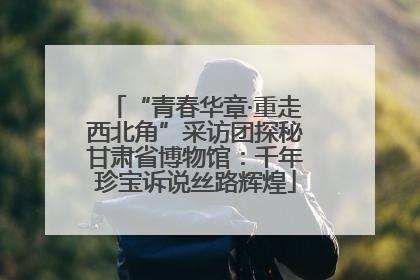 “青春华章·重走西北角”采访团探秘甘肃省博物馆：千年珍宝诉说丝路辉煌