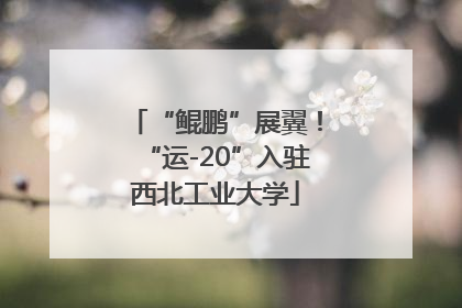 “鲲鹏”展翼！“运-20”入驻西北工业大学