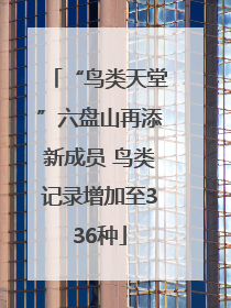“鸟类天堂”六盘山再添新成员 鸟类记录增加至336种