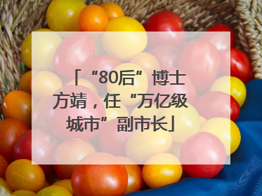 “80后”博士方靖，任“万亿级城市”副市长